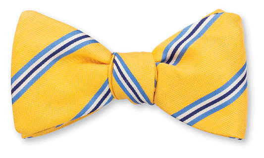 R. Hanauer Falcon Stripes Bow Tie
