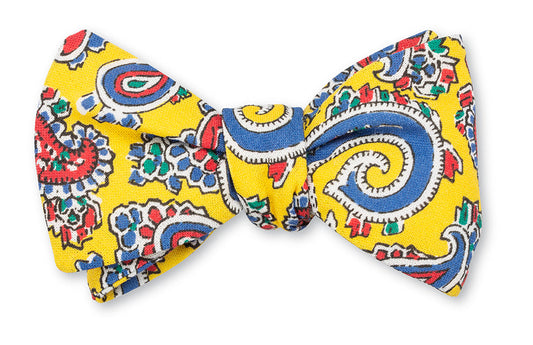 R. Hanauer Tossed Paisley Bow Tie