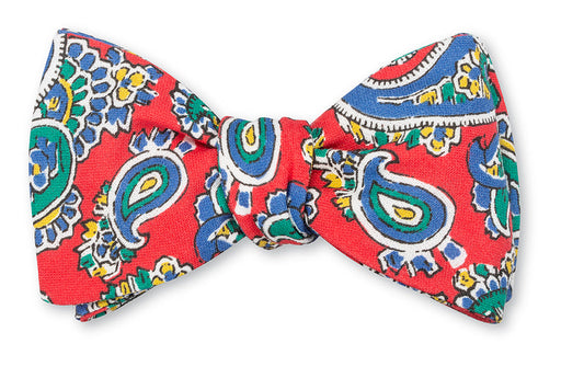 R. Hanauer Tossed Paisley Bow Tie