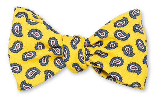 R. Hanauer Tossed Paisley Bow Tie