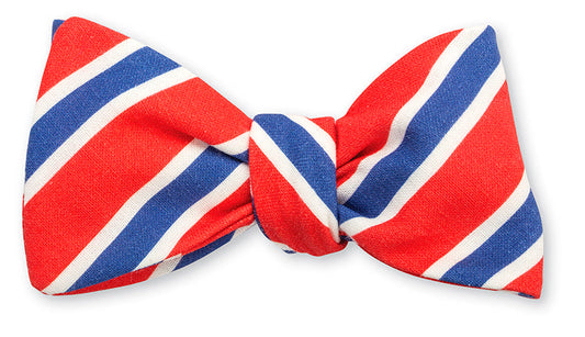 R. Hanauer Clearwood Stripe Bow Tie - B5274