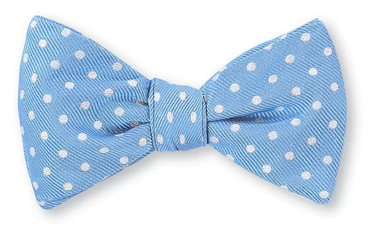 R. Hanauer Blue/ White University Polka Dots Bow Tie - B2386