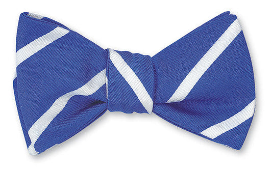 R. Hanauer Royal Blue/White Buckingham Striped Bow Tie - B2791