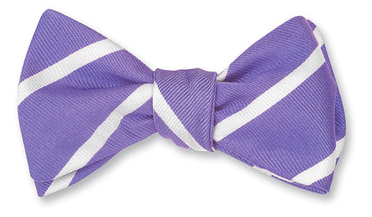 R. Hanauer Periwinkle Bow Tie with White Buckingham Stripes - B2792