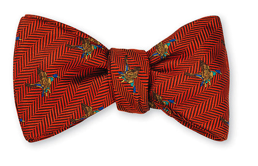 R. Hanauer Orange Edgewater Ducks Bow Tie - B5356