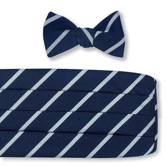 R. Hanauer Navy/Silver Buckingham Stripes Cummerbund Set - CB2797